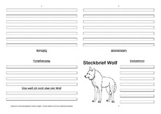Wolf-Faltbuch-vierseitig-2.pdf